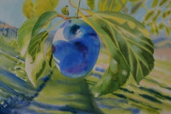 Madole-Marlene-Worldview-Italian-Plum-22x15