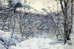 Bowen-Liu-Jilin-China-Path-In-The-Forest-20x20in-2019